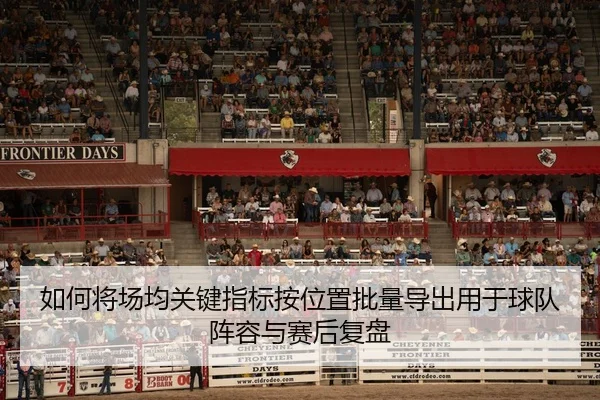 如何将场均关键指标按位置批量导出用于球队阵容与赛后复盘 | leyu
